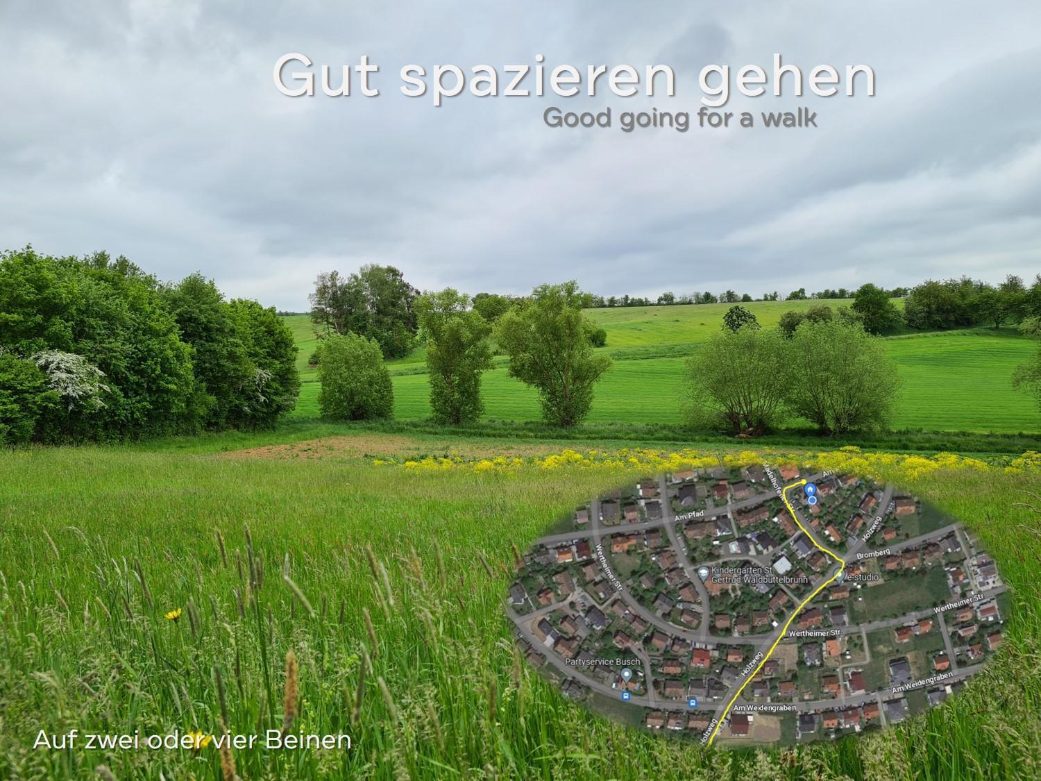 Lichtdurchflutetes Zimmer - Mainwiesen Waldbuttelbrunn エクステリア 写真